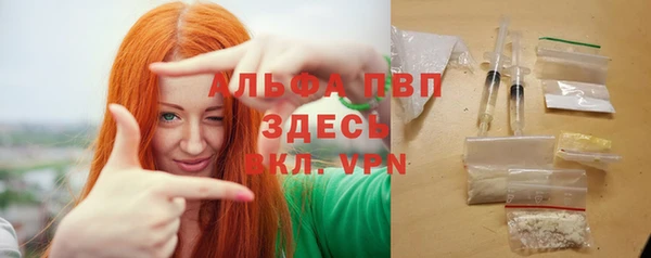 прущий лед Алзамай