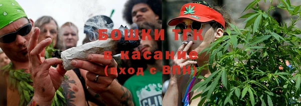 амф Алексин