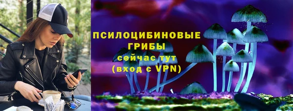 таблы Алексеевка